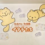 イタチたち