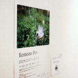 Kemono Pot