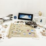 Beach combing