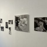 写真展『私が産む』