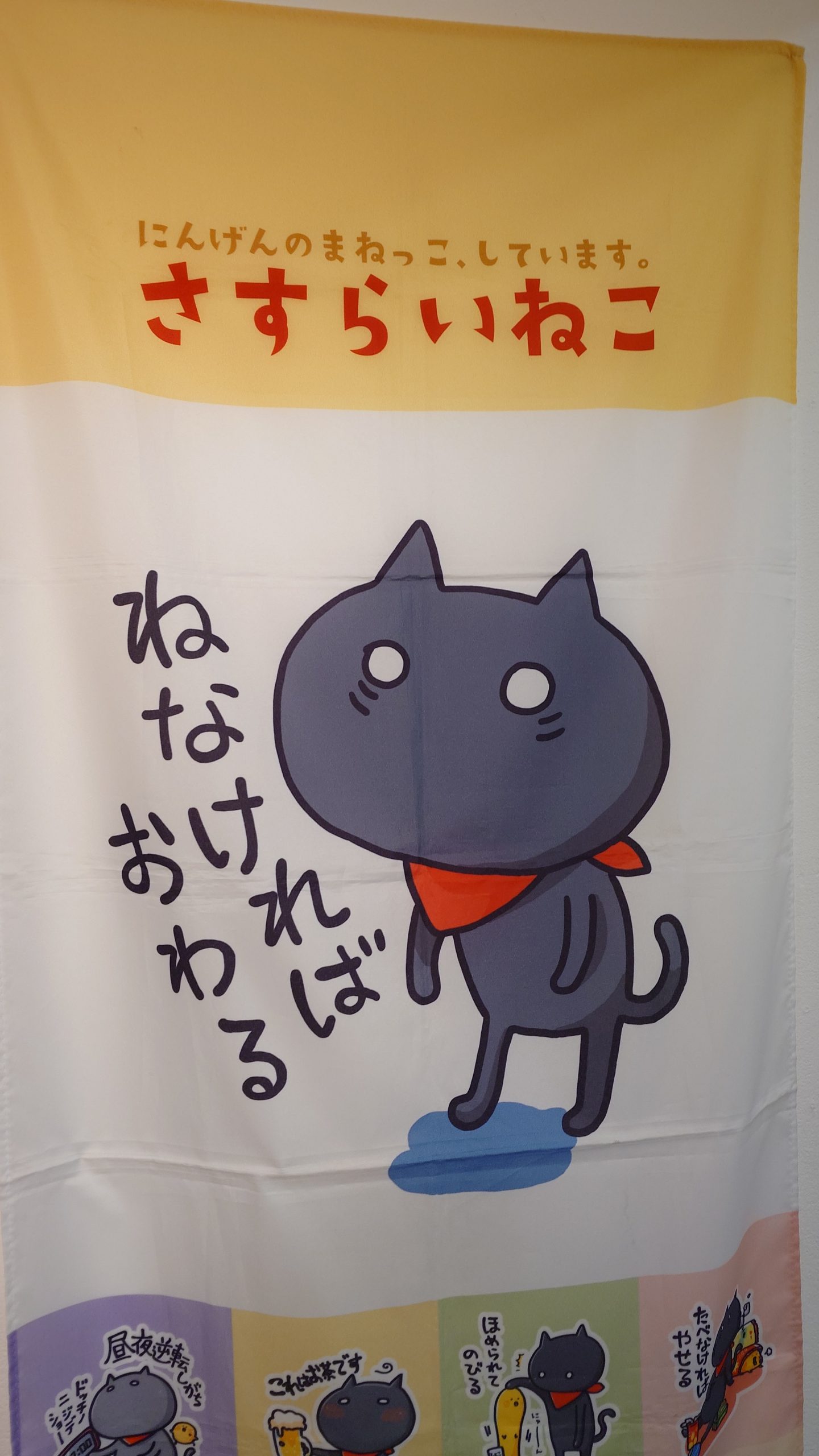 ねこ様 ねこさま名鑑100 : パイインターナショナル | HMV&BOOKS online