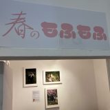 春のもふもふ