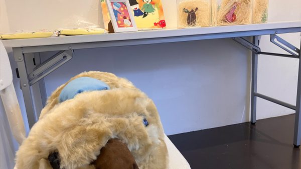 ピタピタ子ワールドが立体になっちゃった
