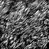 【企画展】線画展　出展者募集！！