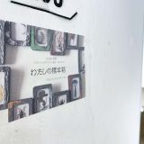 わたしの標本箱