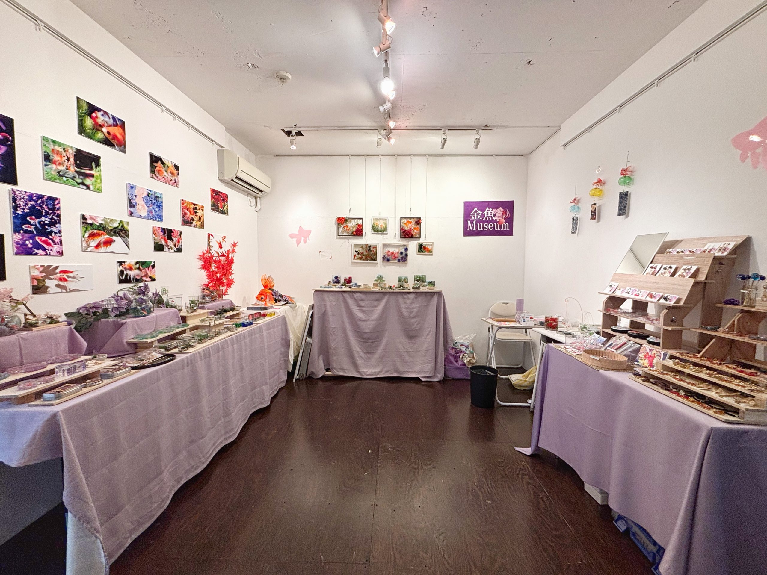 金魚Museum | DESIGN FESTA GALLERY