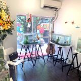 第4回川澄太一の金魚展