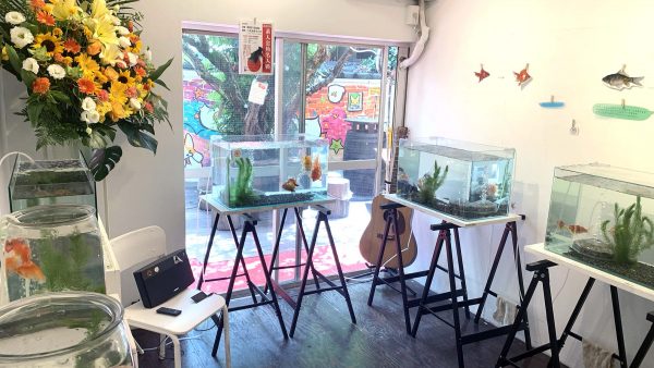 第4回川澄太一の金魚展