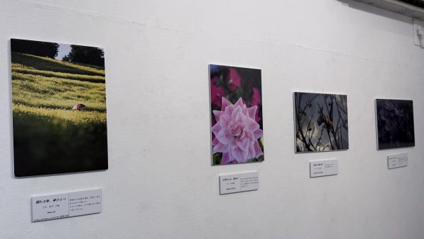 夏展