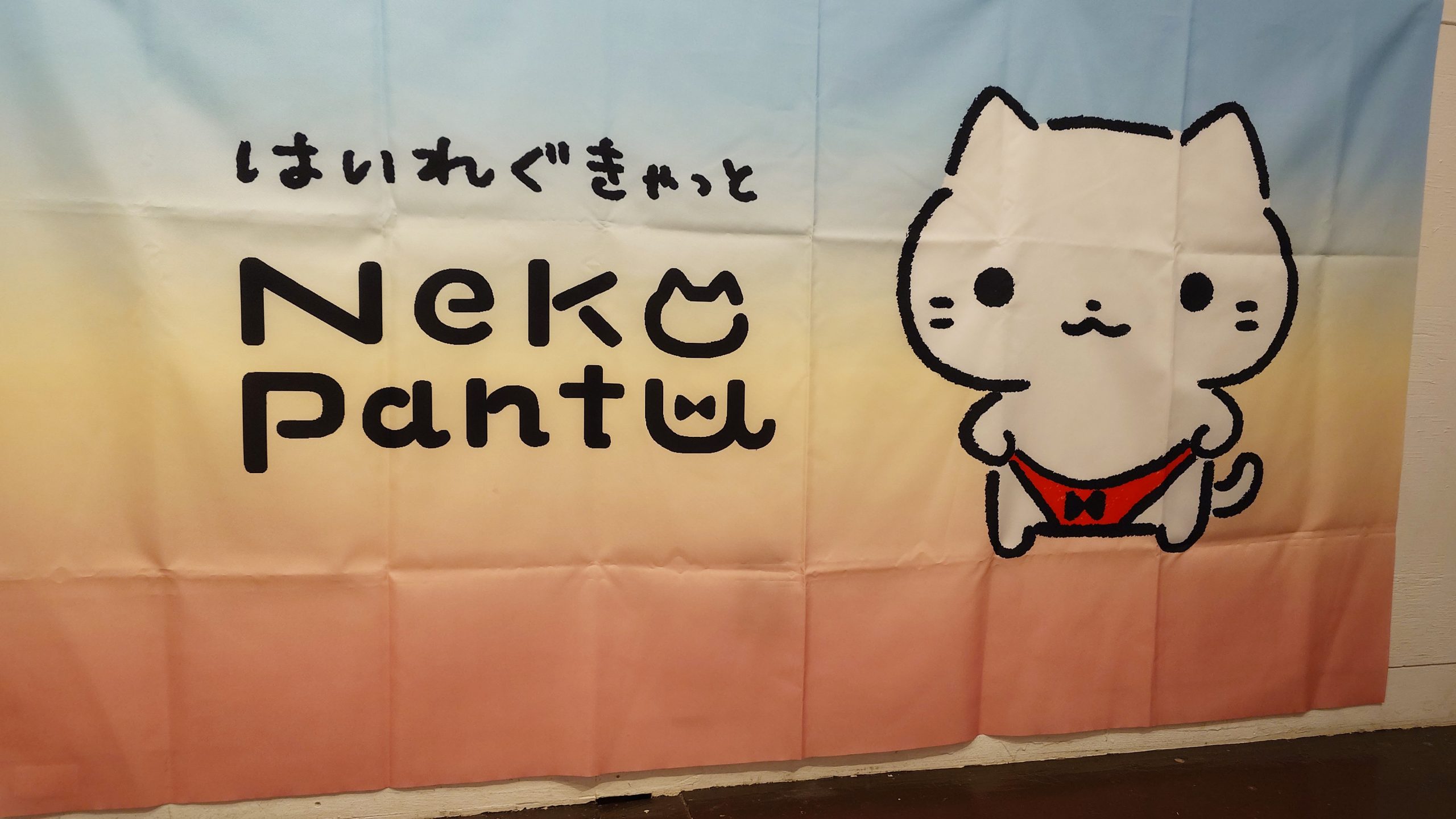 DESIGN FESTA GALLERY