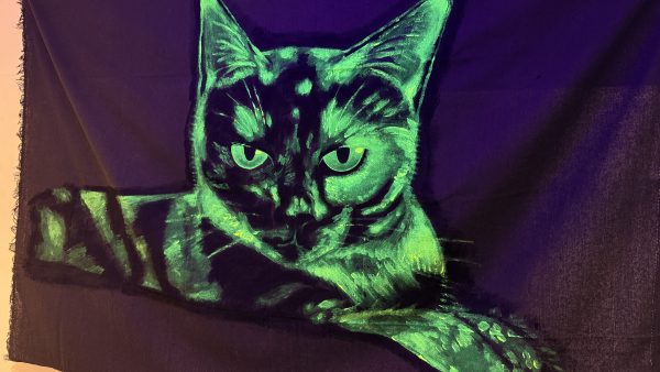 猫支援2人展