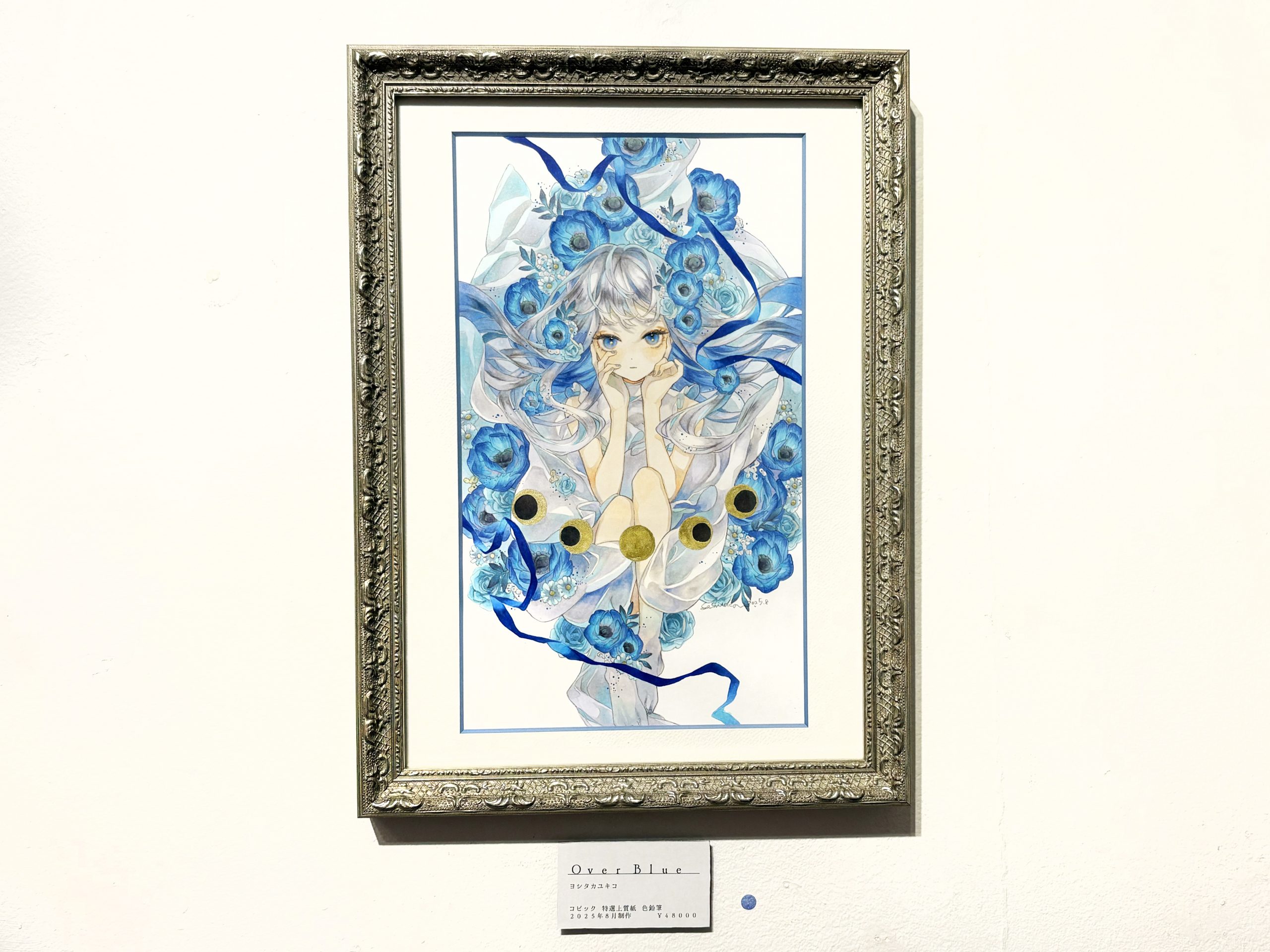 でこピン様専用】銀貨 二重絵柄埋込 カナダ 滝と幻想的