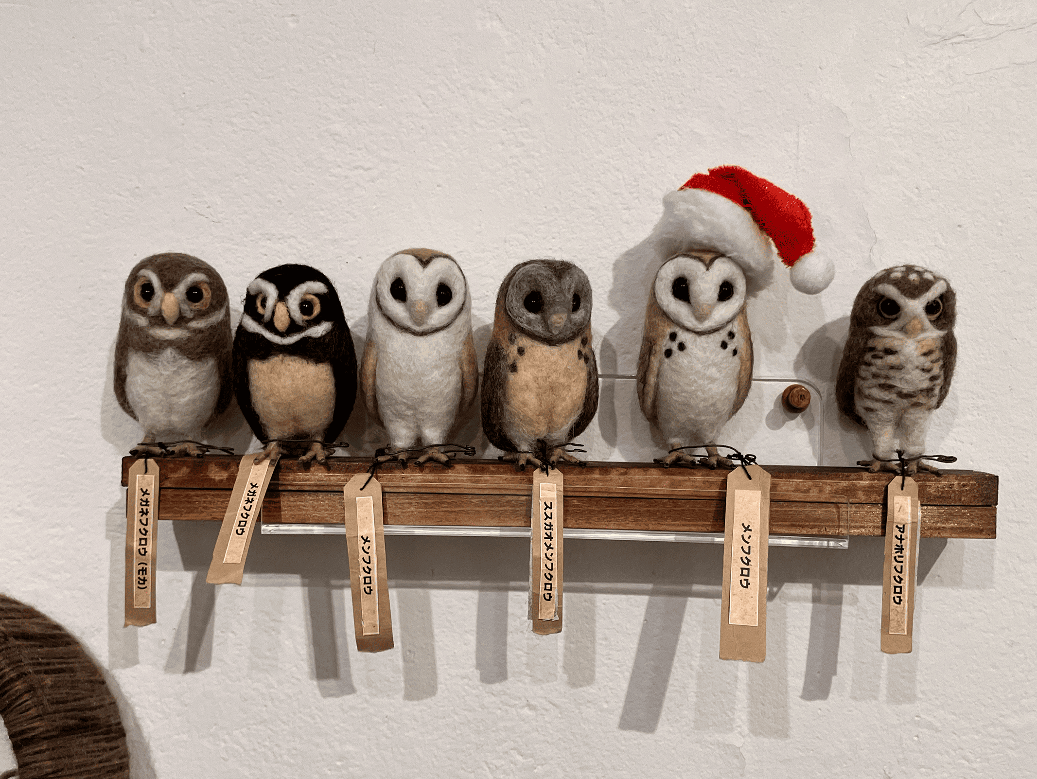 Thank you OWL for the 10 years! | DESIGN FESTA GALLERY