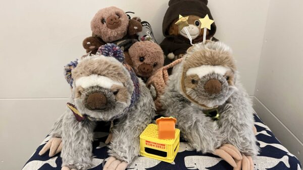 ナマケモノクリスマスマルシェ