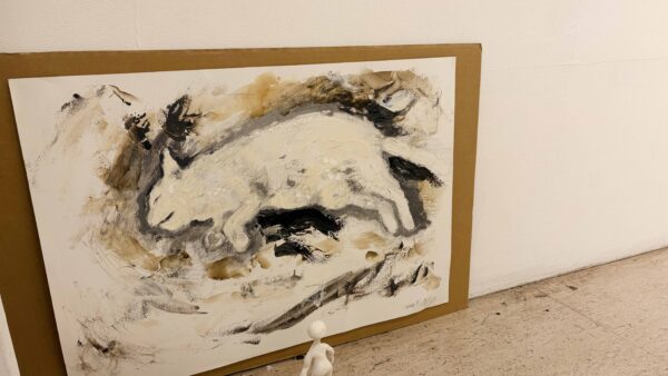 ねこ　と　いし　と　太陽