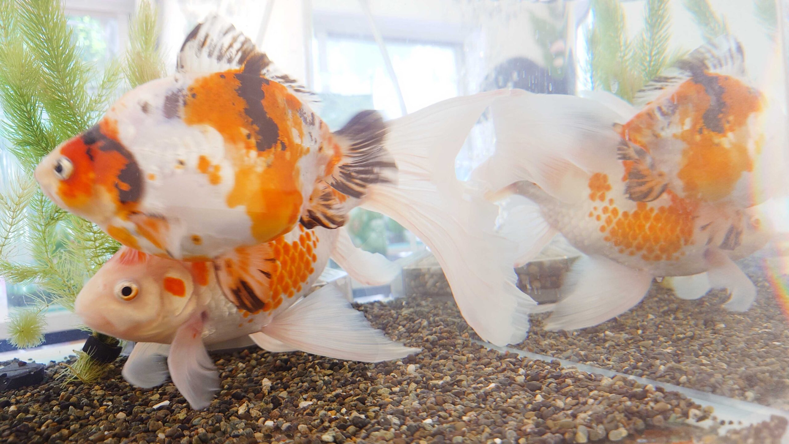 20260802_122822013-scaled.jpg