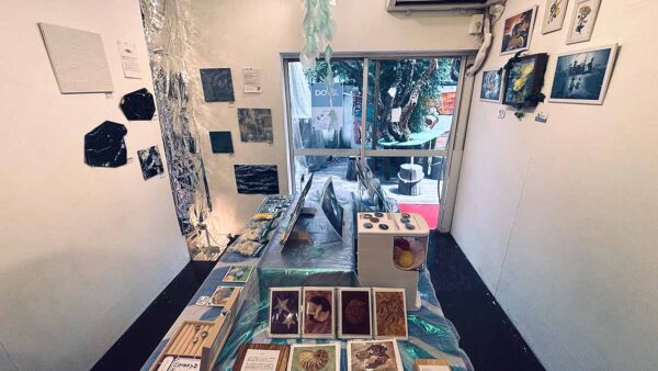 水辺のアトリエで作った流展標本それが私たちの原点Reflectionする大自然の宴 ～そして原点回帰～