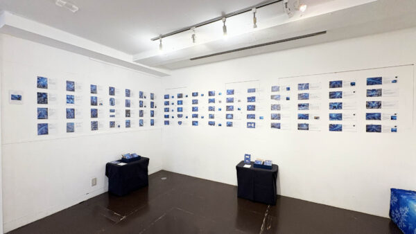 Caoli Postcard Exhibition「葉樹の森」